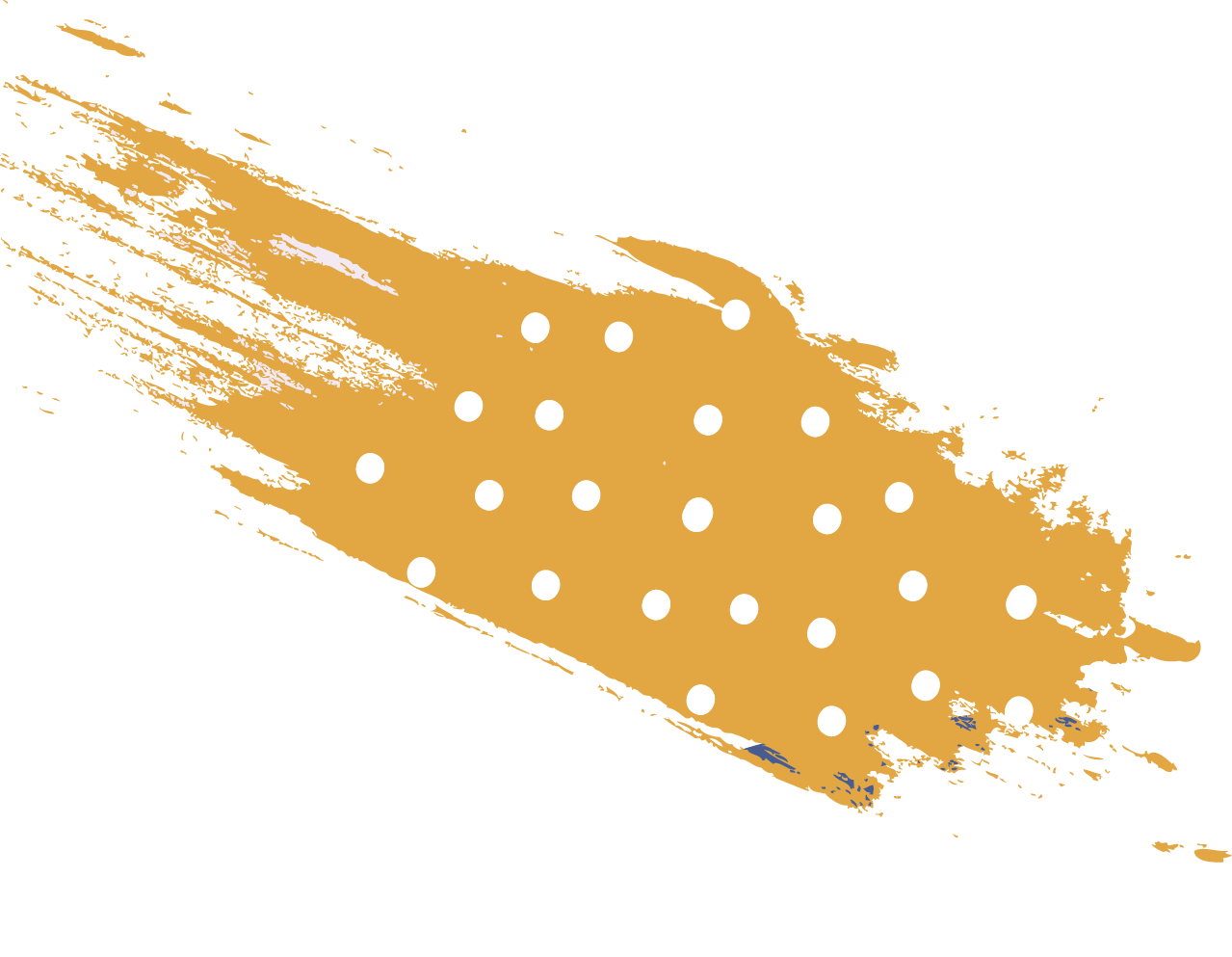 a Life Coach Authentic Life Coach Certification